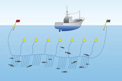 long lining long lining