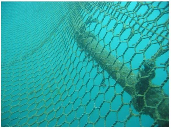 High Tenacity 3.0mm Polyester Wire For Gabion Basket Box